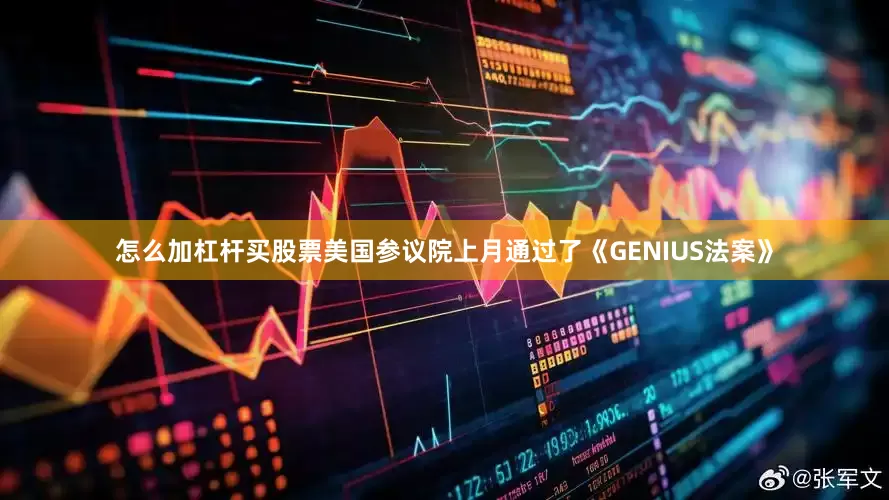 怎么加杠杆买股票美国参议院上月通过了《GENIUS法案》