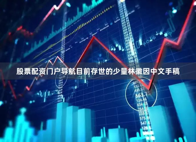 股票配资门户导航目前存世的少量林徽因中文手稿