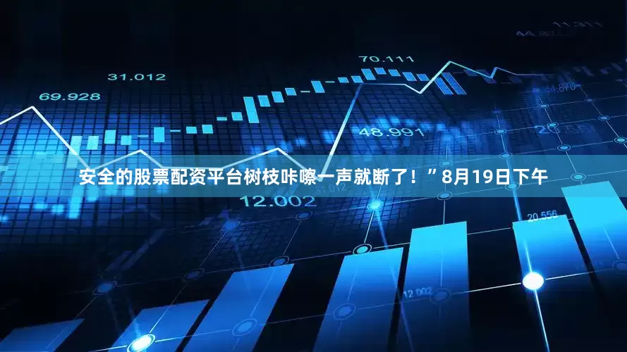 安全的股票配资平台树枝咔嚓一声就断了！”8月19日下午